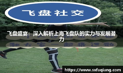 飞盘盛宴：深入解析上海飞盘队的实力与发展潜力
